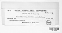Trematosphaeria cactorum image